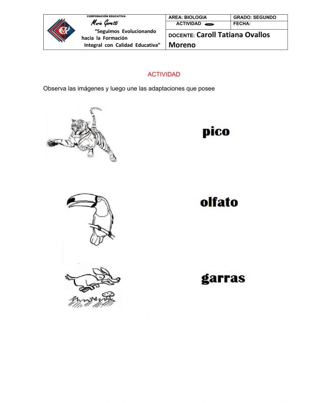 Adaptaciones de los animales