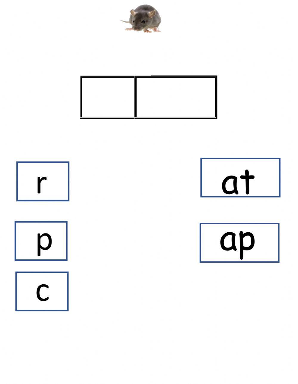 Onset and rime at and ap