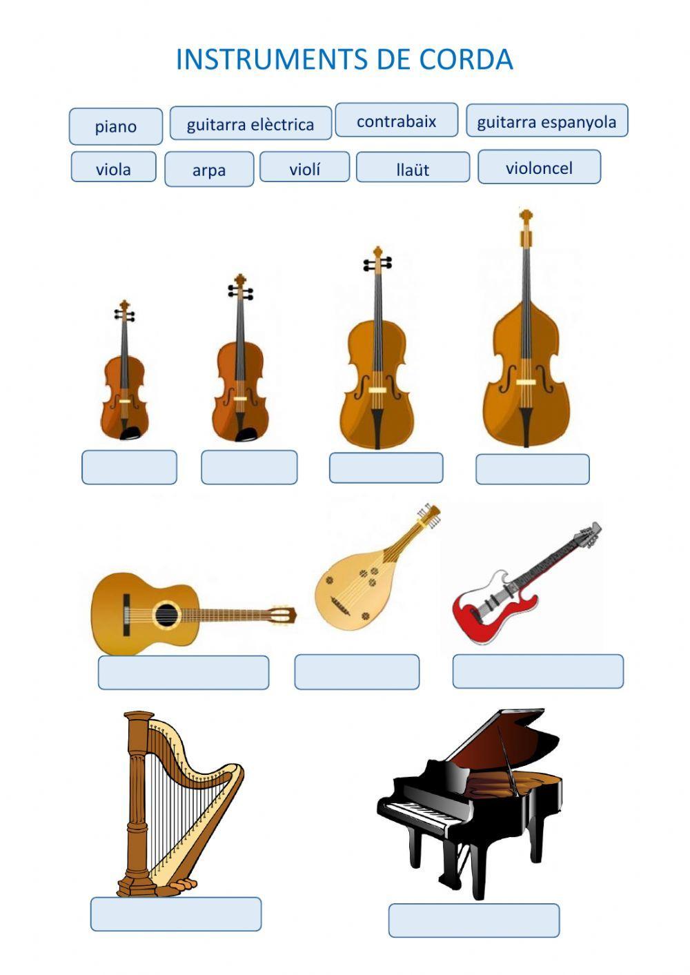 Instruments de corda