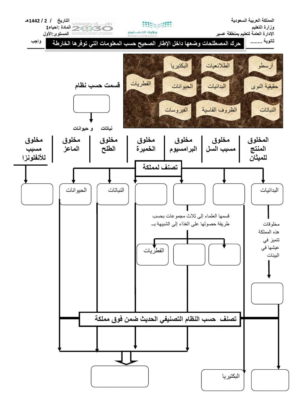 مراجعة الفصول 3
