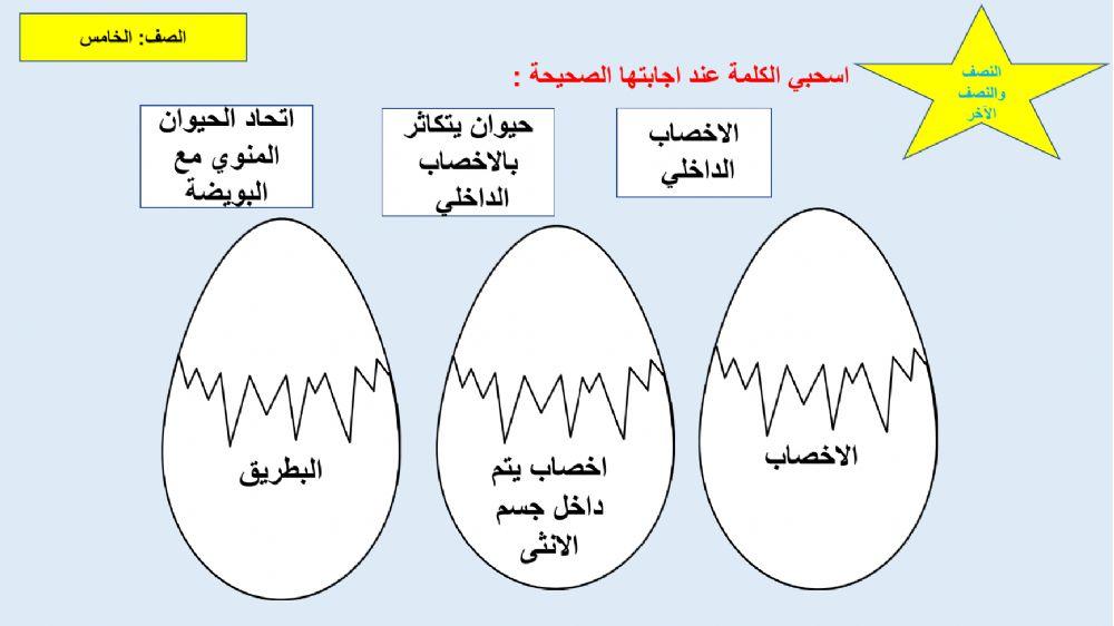 الاخصاب الداخلي