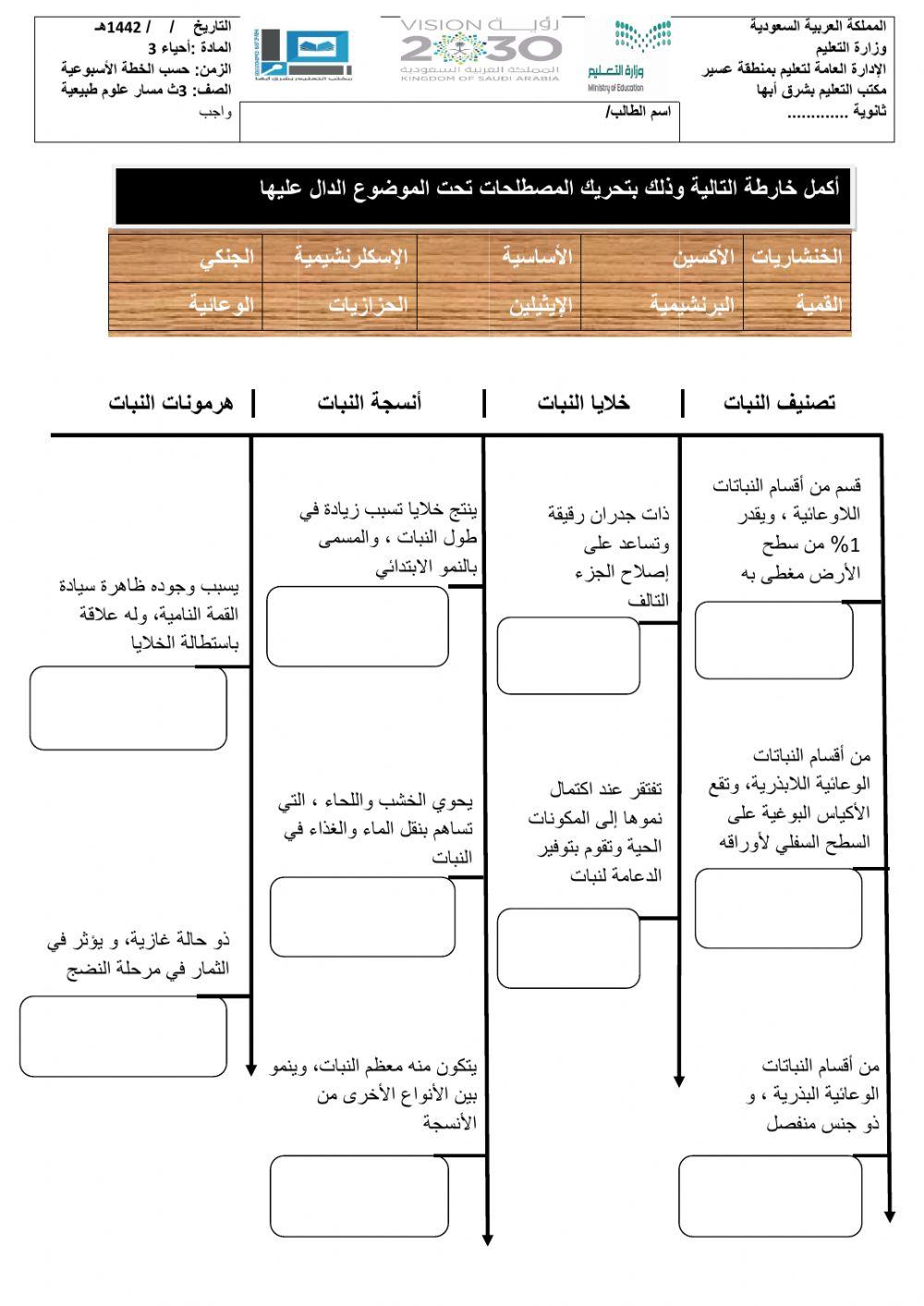 ورقة مراجعة تفاعلية3