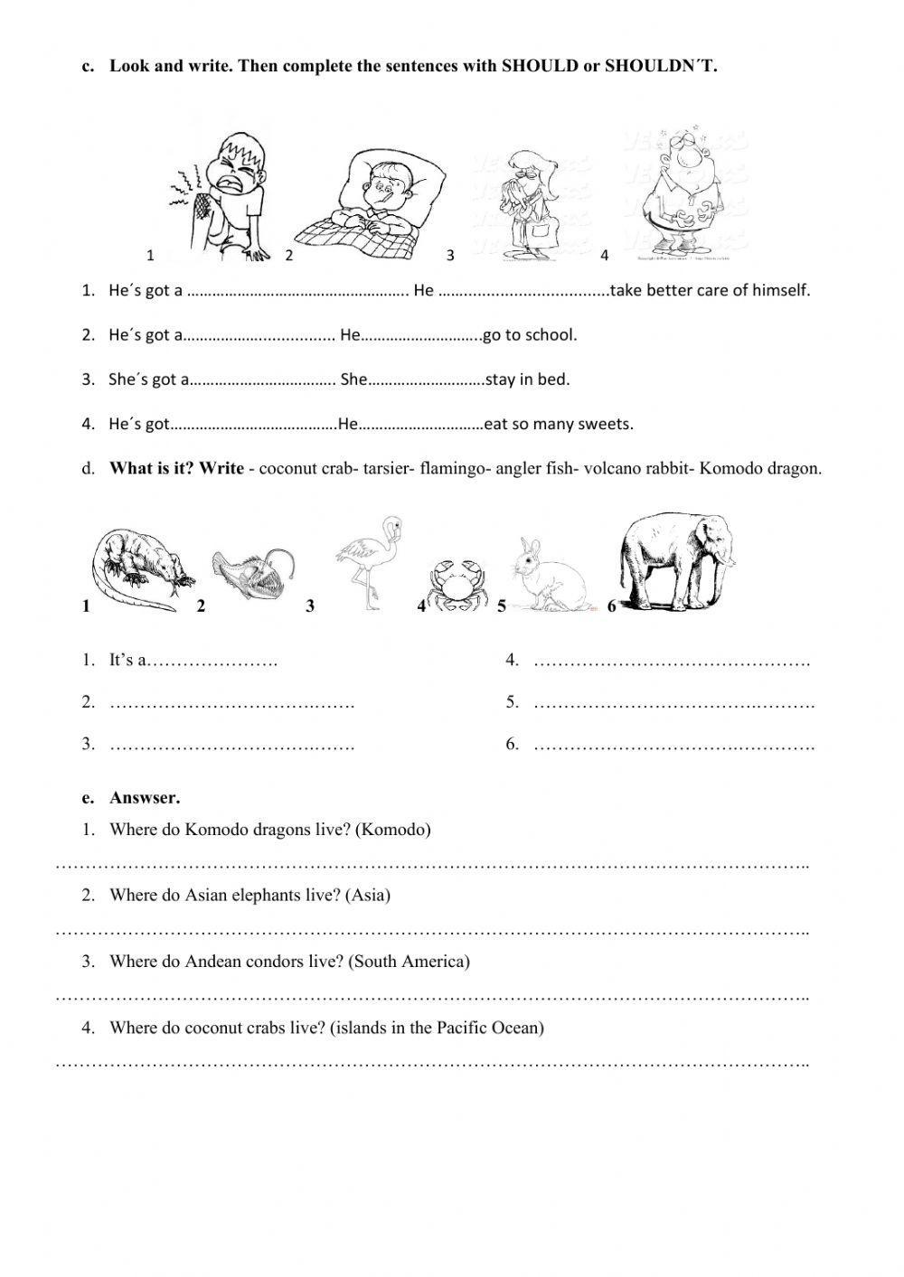 Illnesses- Wild and weird