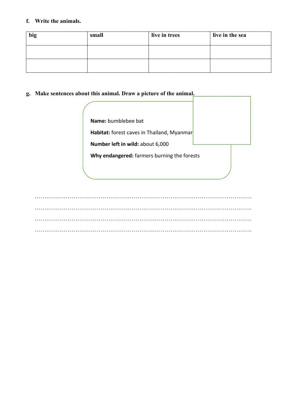 Illnesses- Wild and weird