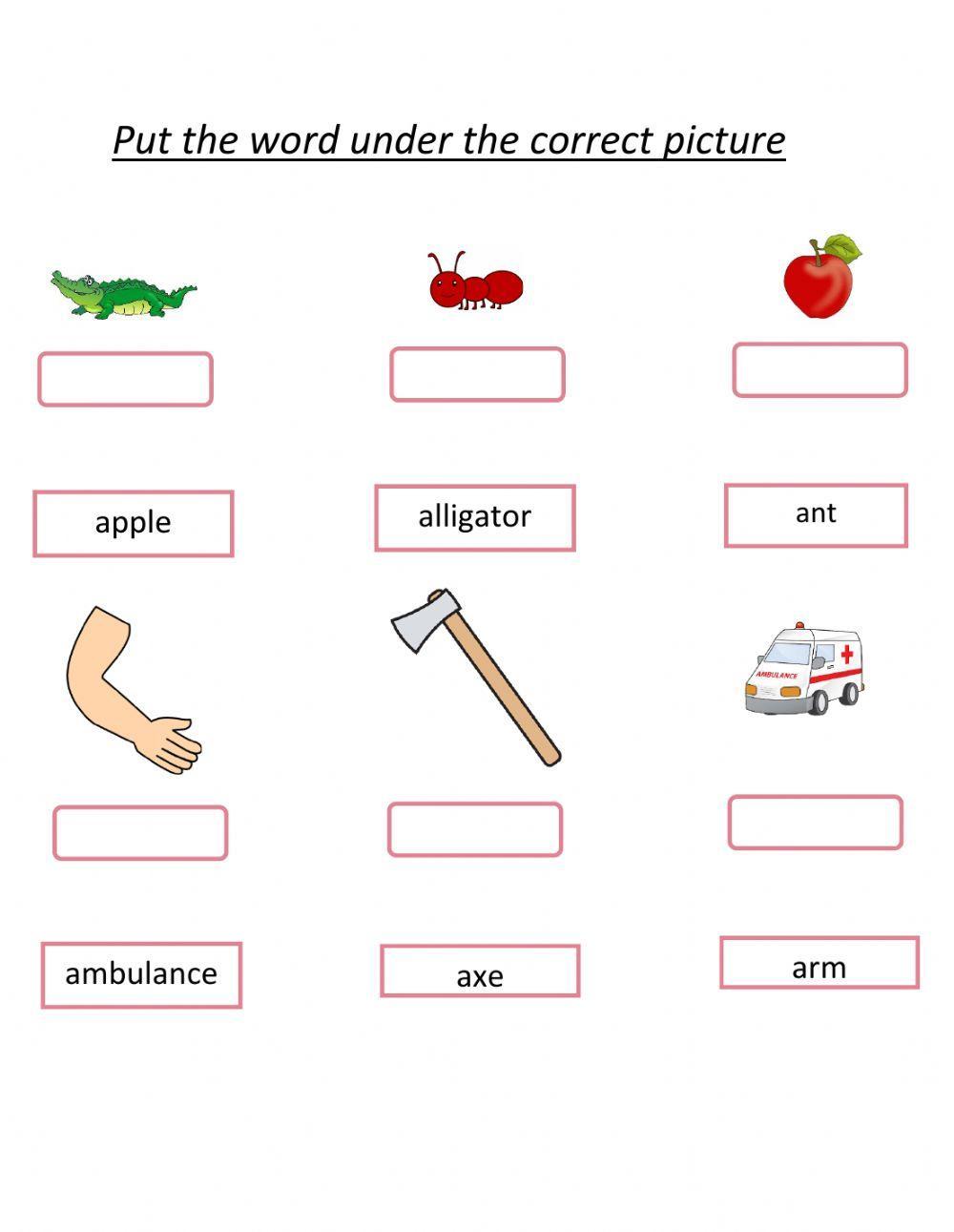 Put the word under the correct picture