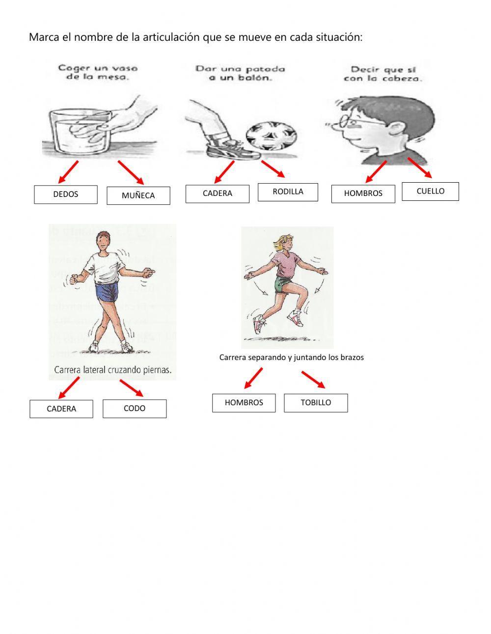 Práctica Movimientos Articulares