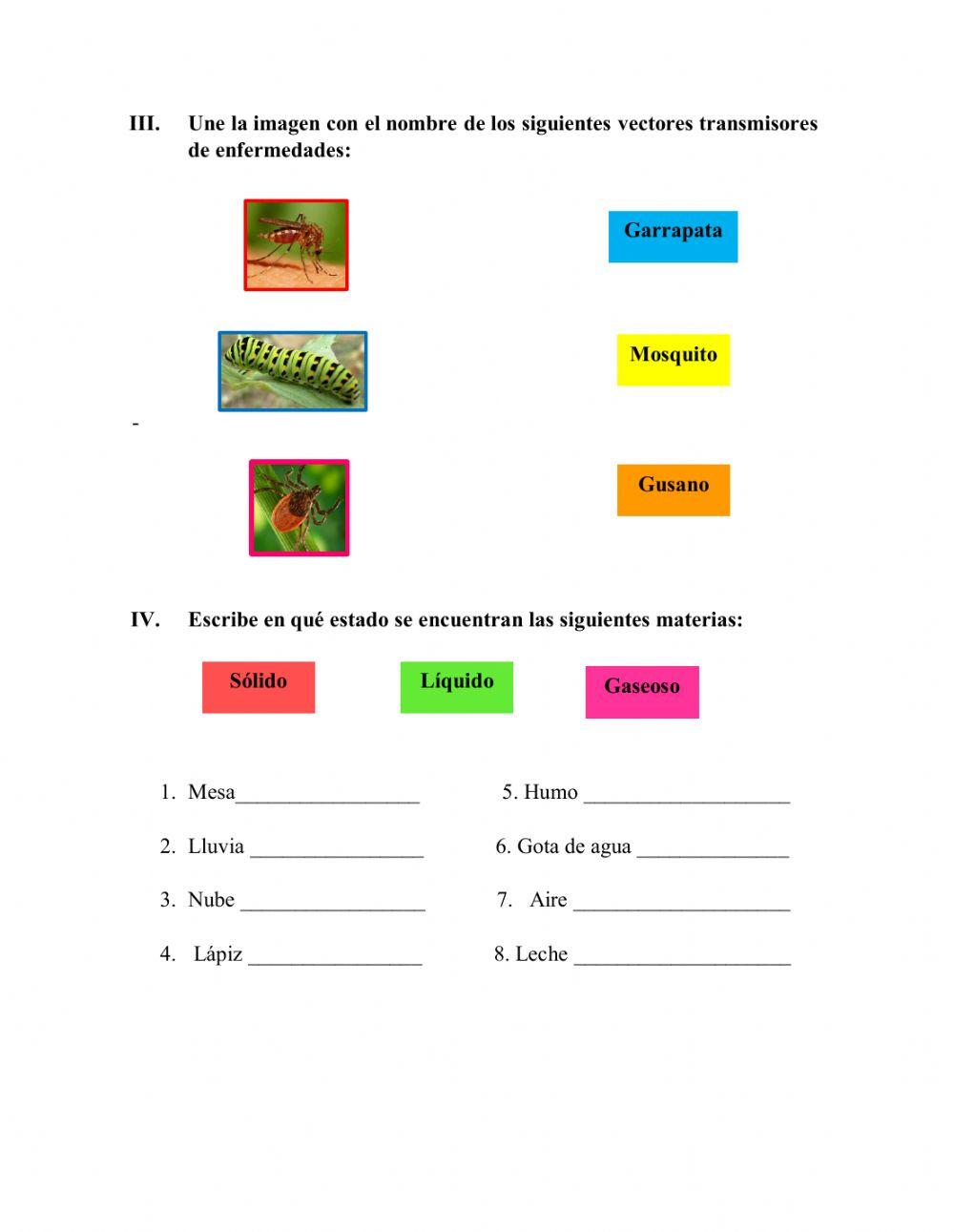 Prueba diagnóstica de Naturales