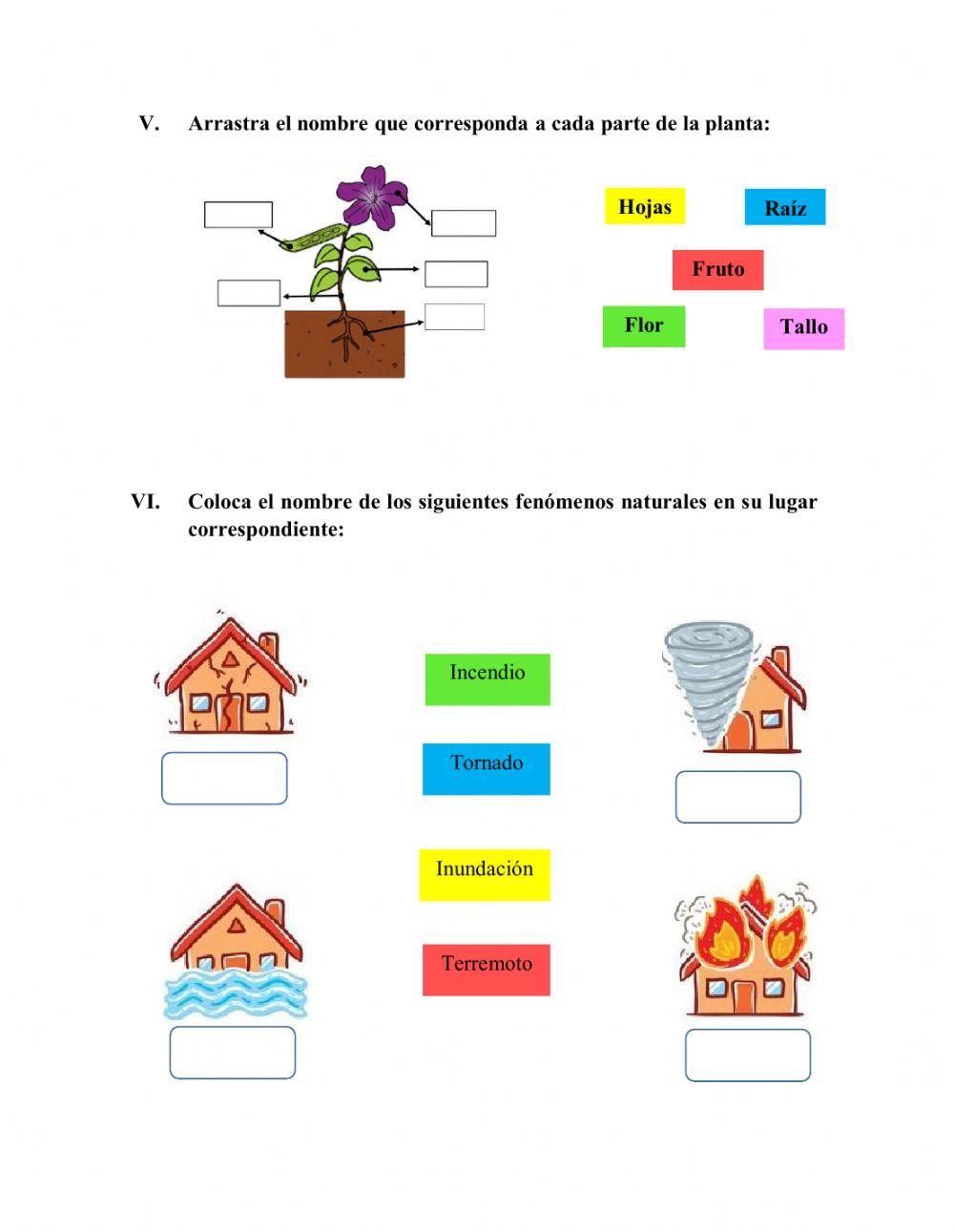 Prueba diagnóstica de Naturales