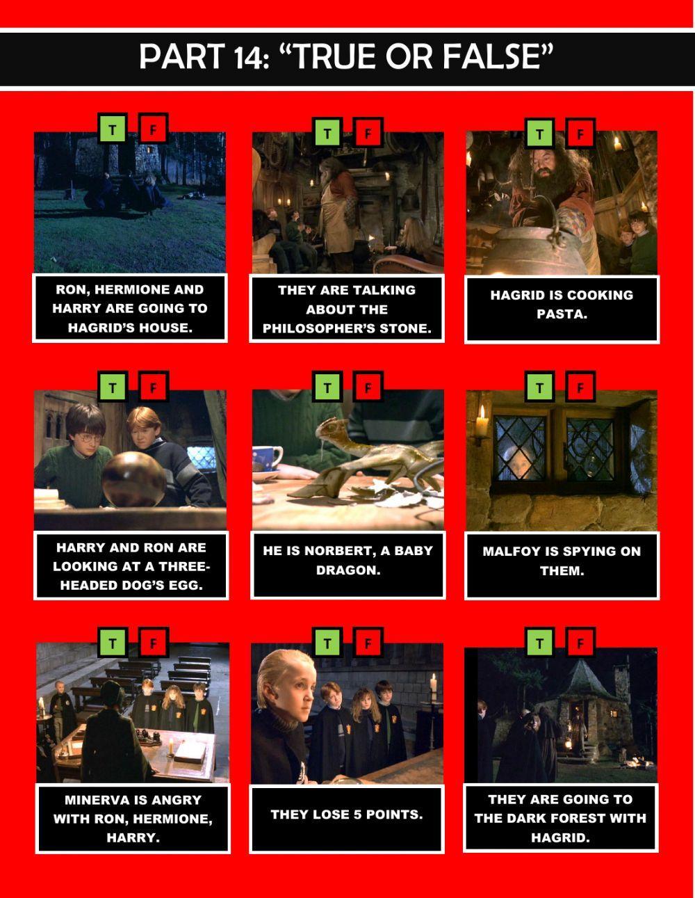 Harry Potter and the Philosopher's Stone Part 14