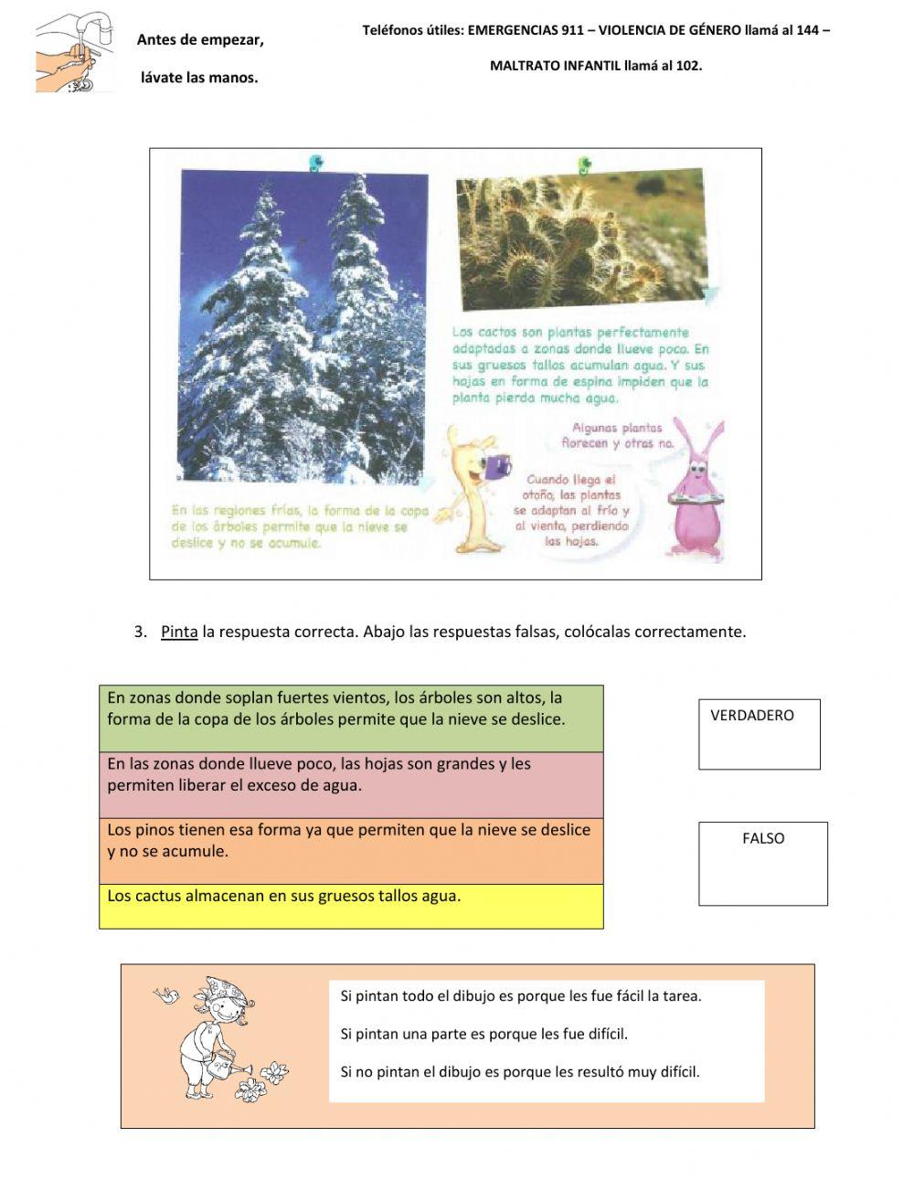 Naturaleza- adaptaciones