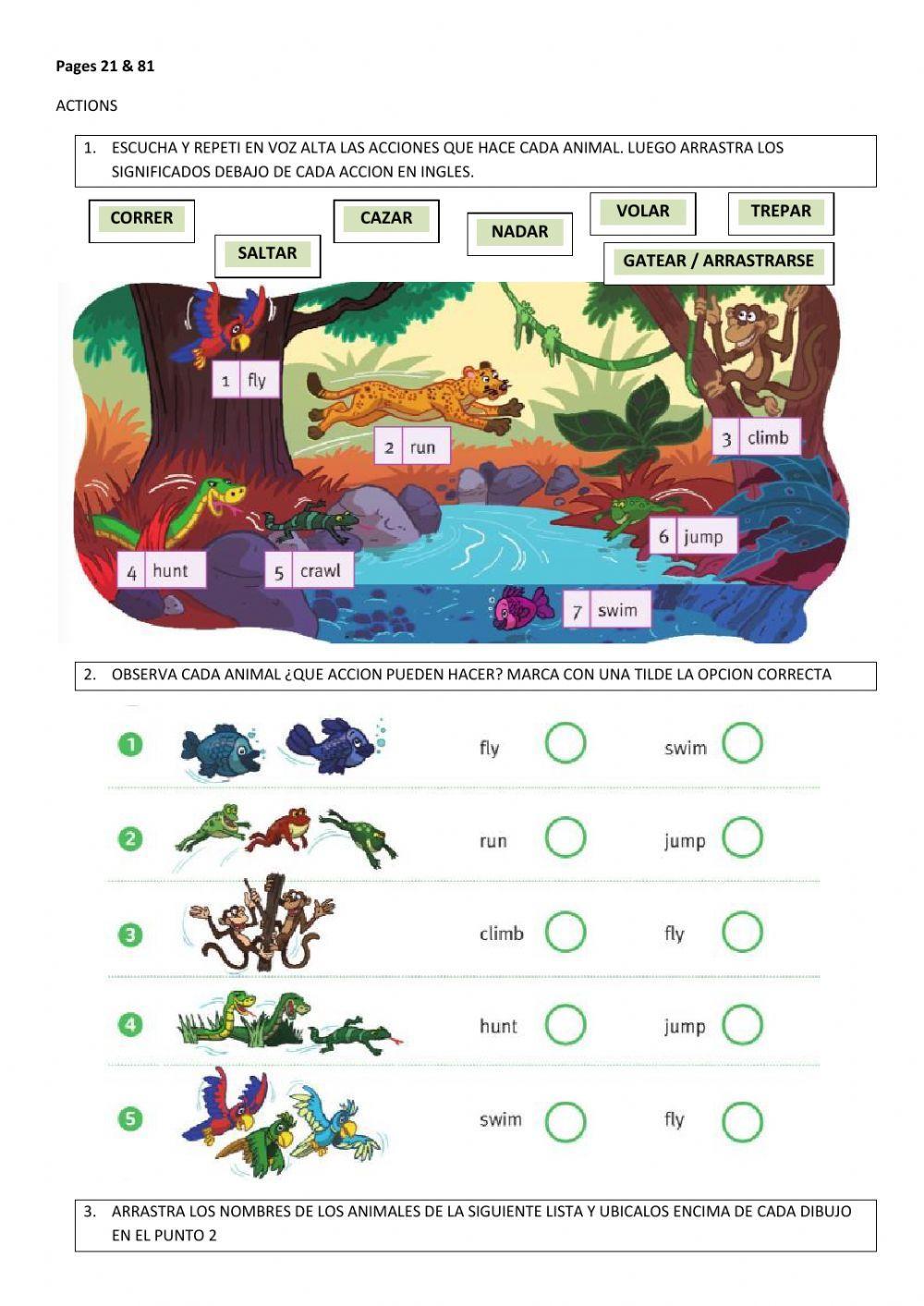 Hop into english 1 - unit 2 - part 4