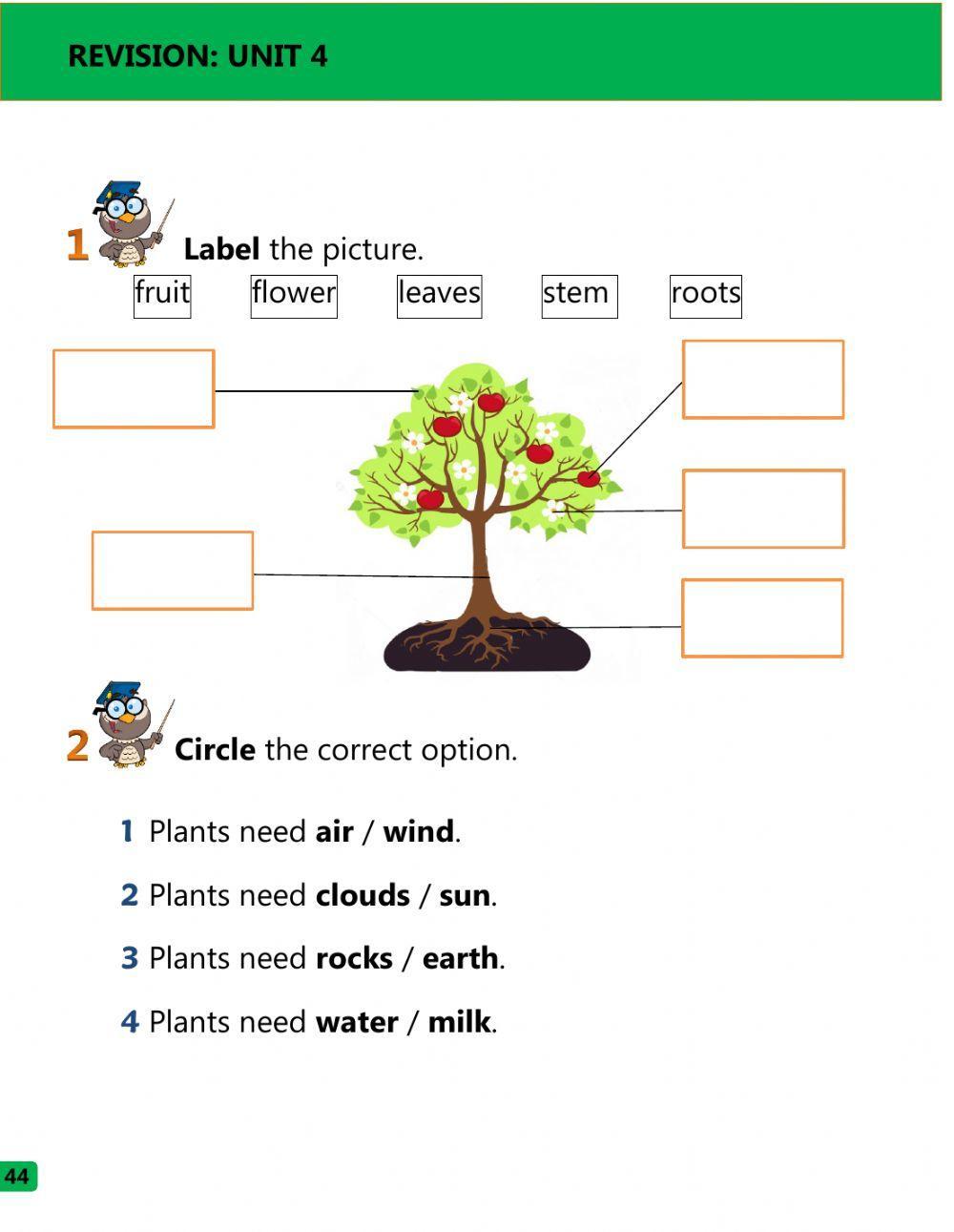 What plants need and parts of the plant