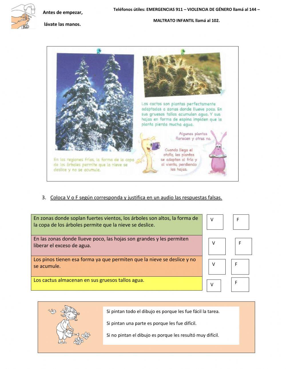 Naturales, plantas autóctonas - Mendoza