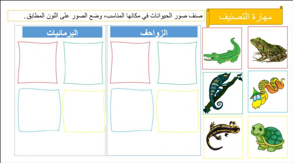 تصنيف الزواحف والبرمائيات