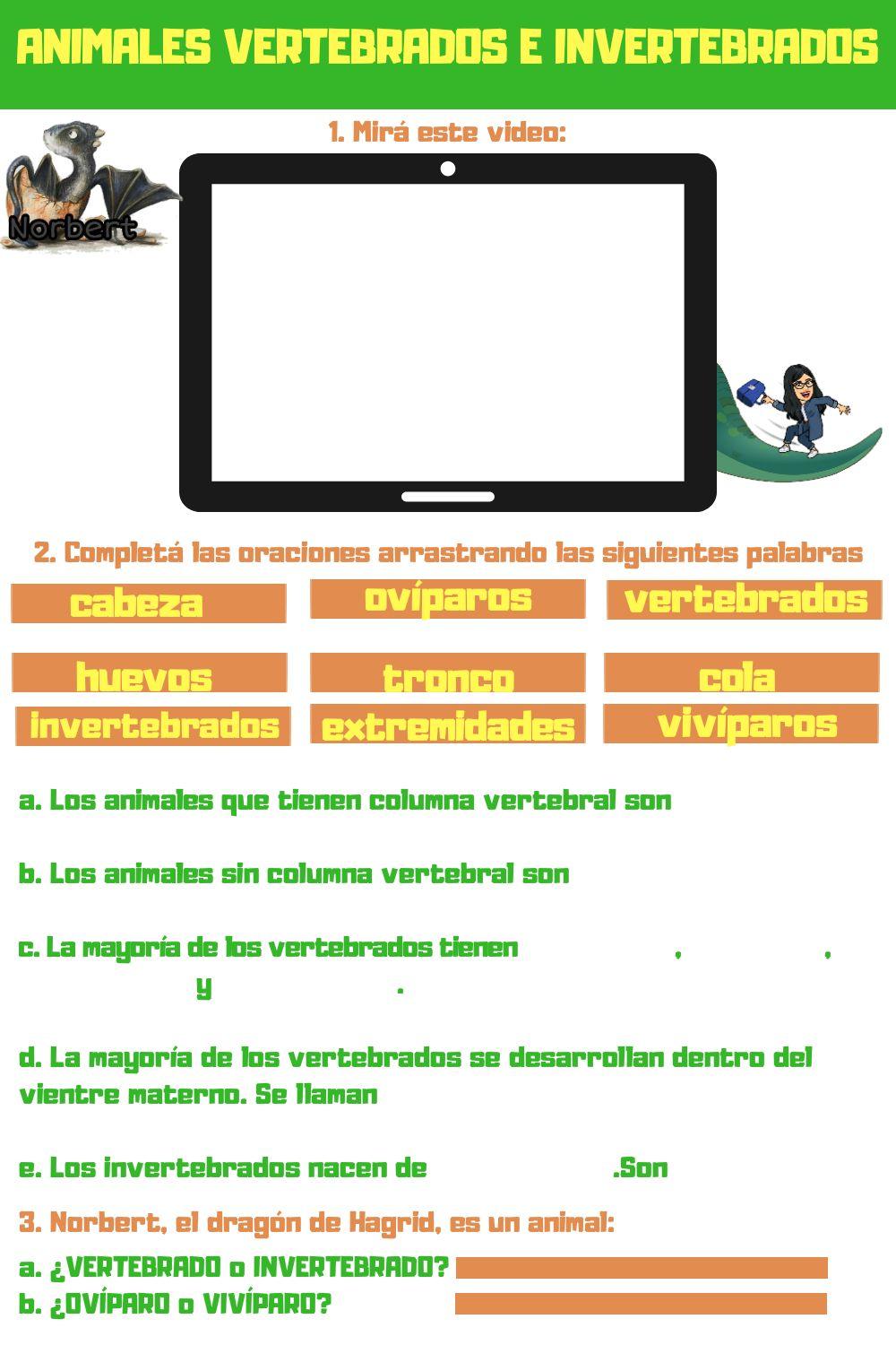 Vertebrados e invertebrados