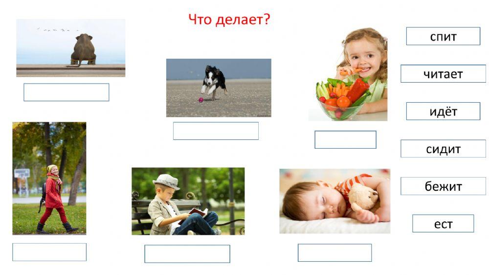 Сорока 1 Урок 3. Что делает?