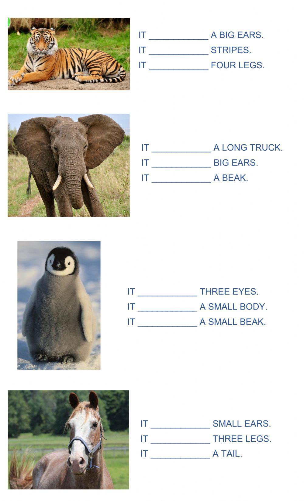 Has got-hasn't got animals