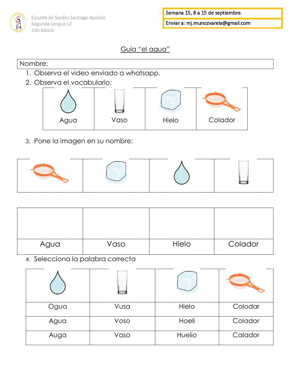 Vocabulario experimento agua