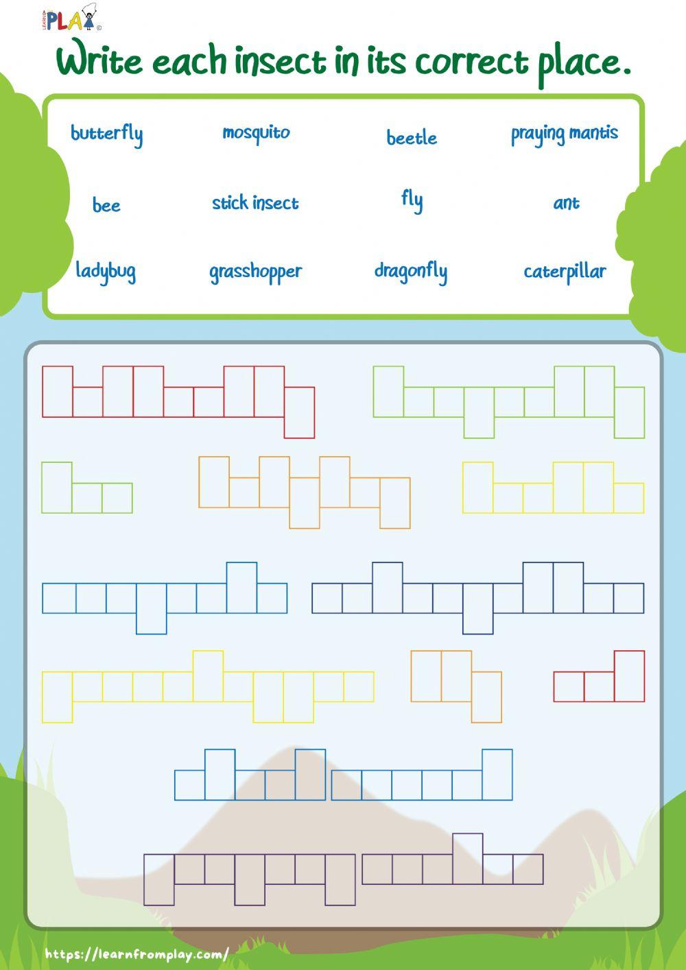 Heads & Tails - Insects-Activity-5