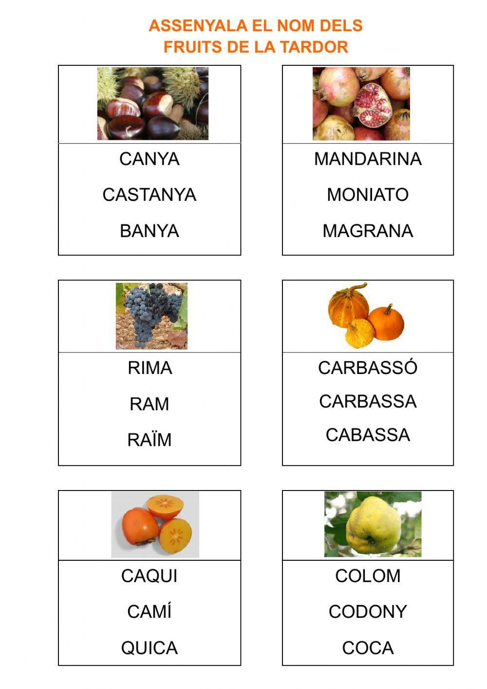 LLegir fruita de tardor