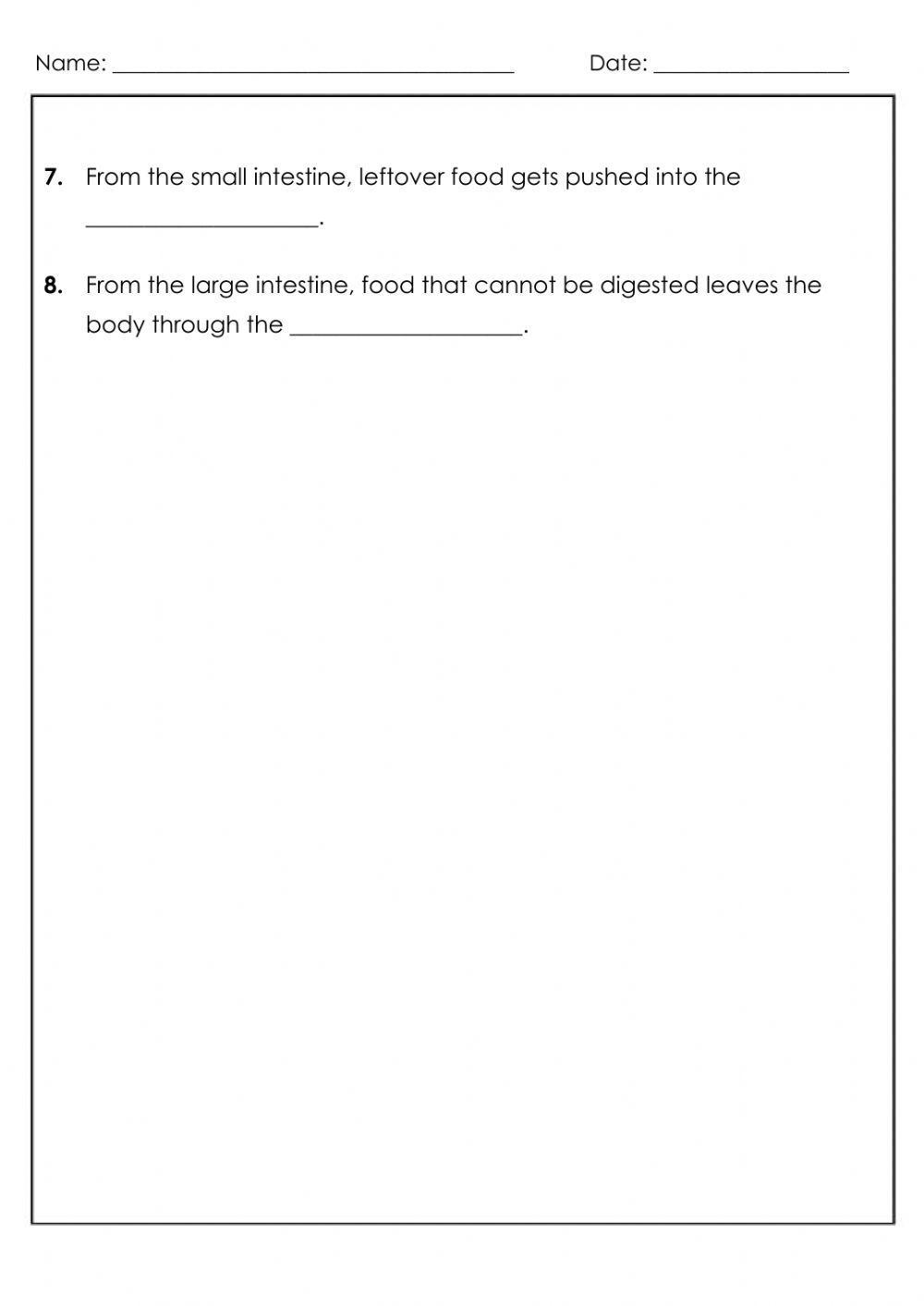 Digestive System Digestive System