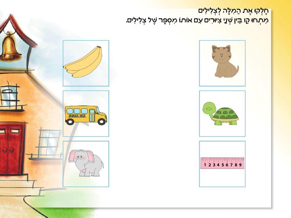 מודעות פונולוגית