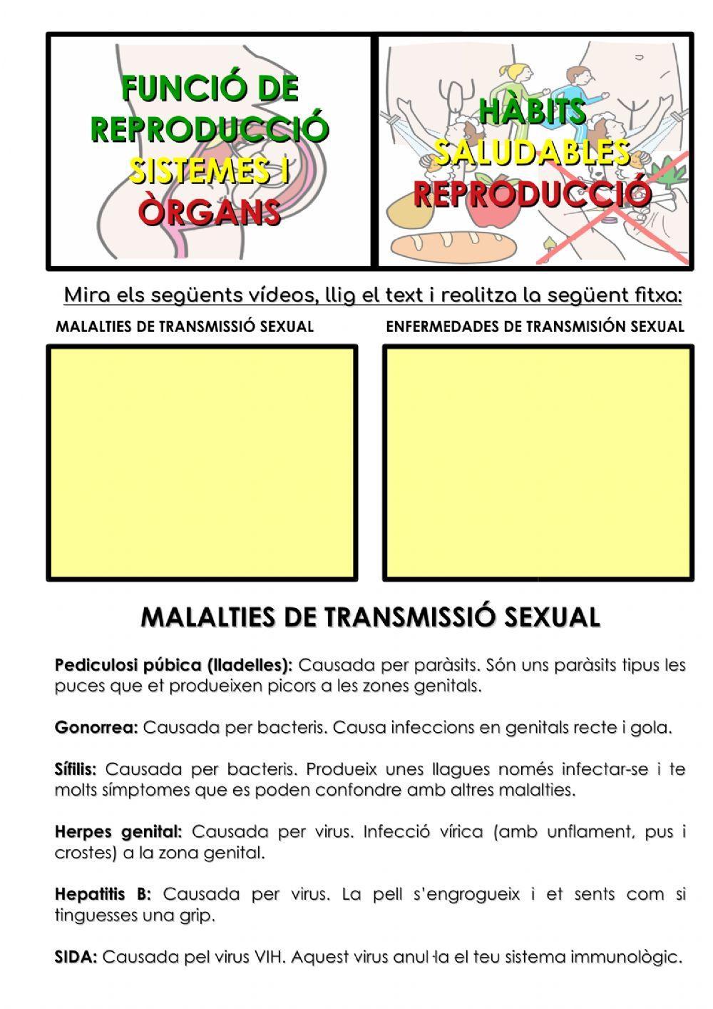 Malalties de transmissió sexual Malalties de transmissió sexual
