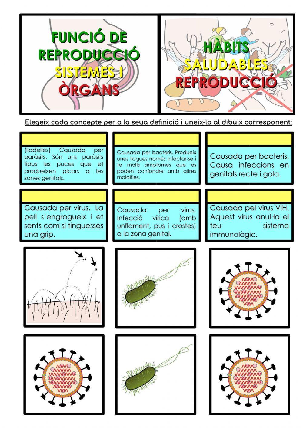 Malalties de transmissió sexual Malalties de transmissió sexual