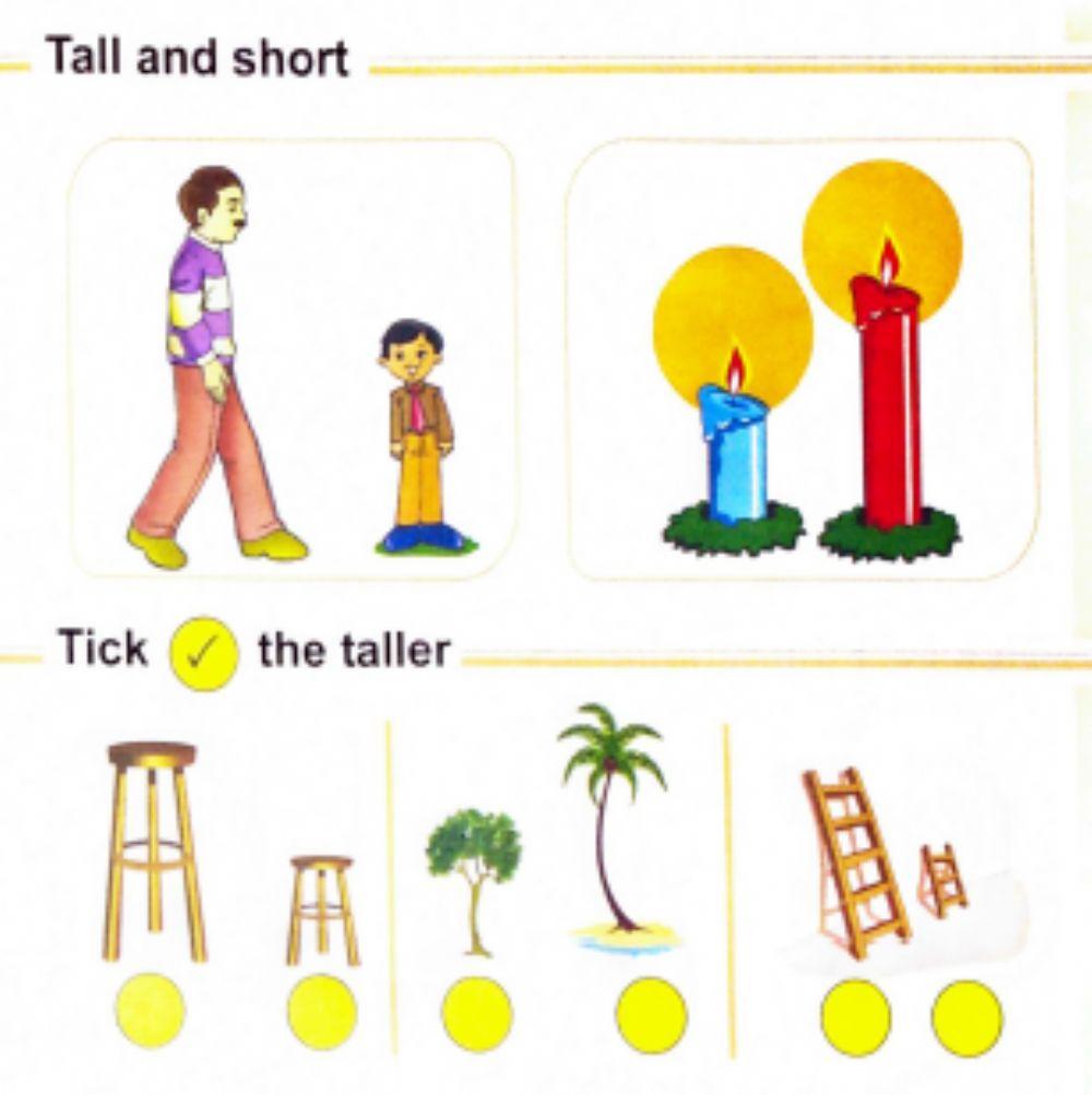 Tall and short  Live Worksheets
