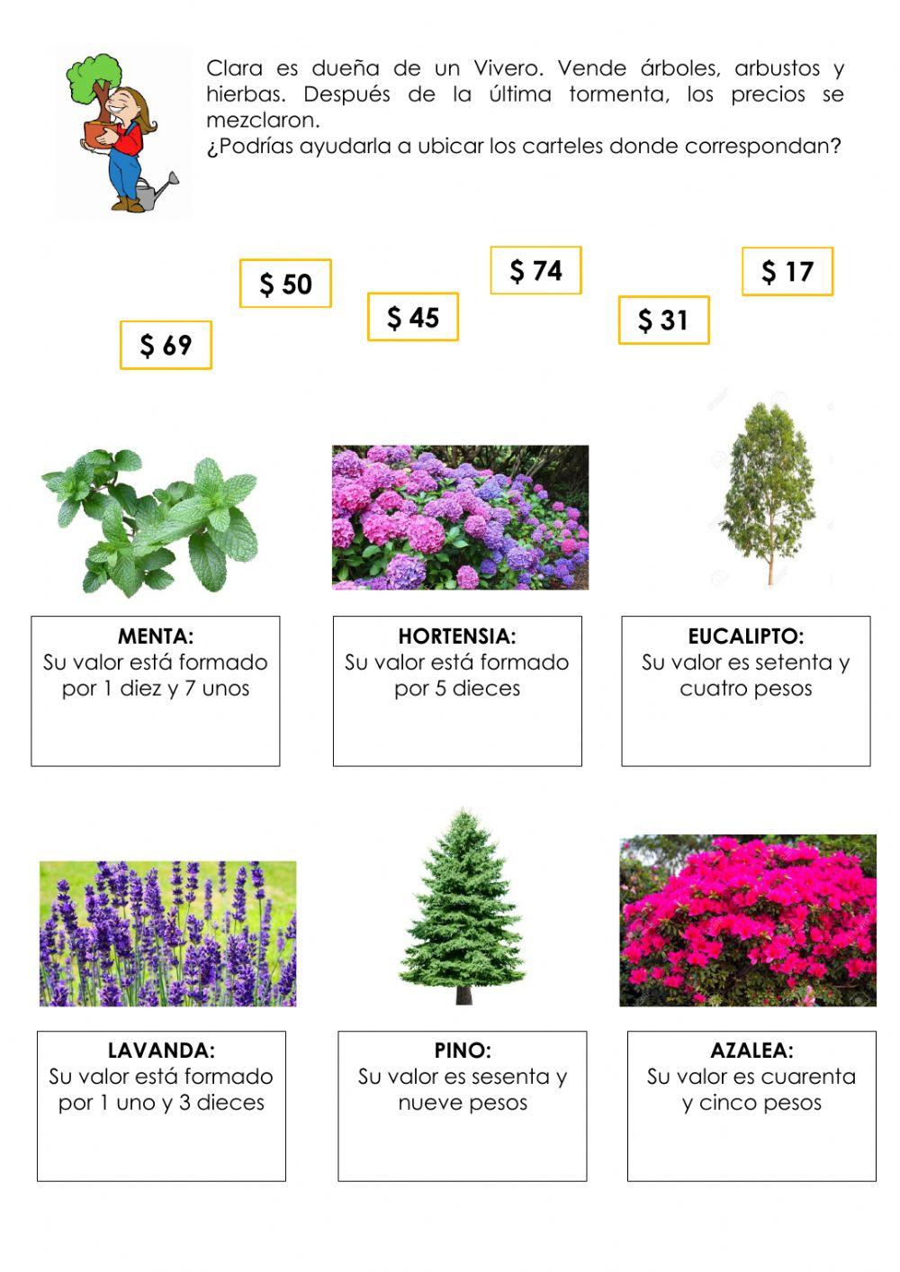 Precios de plantas