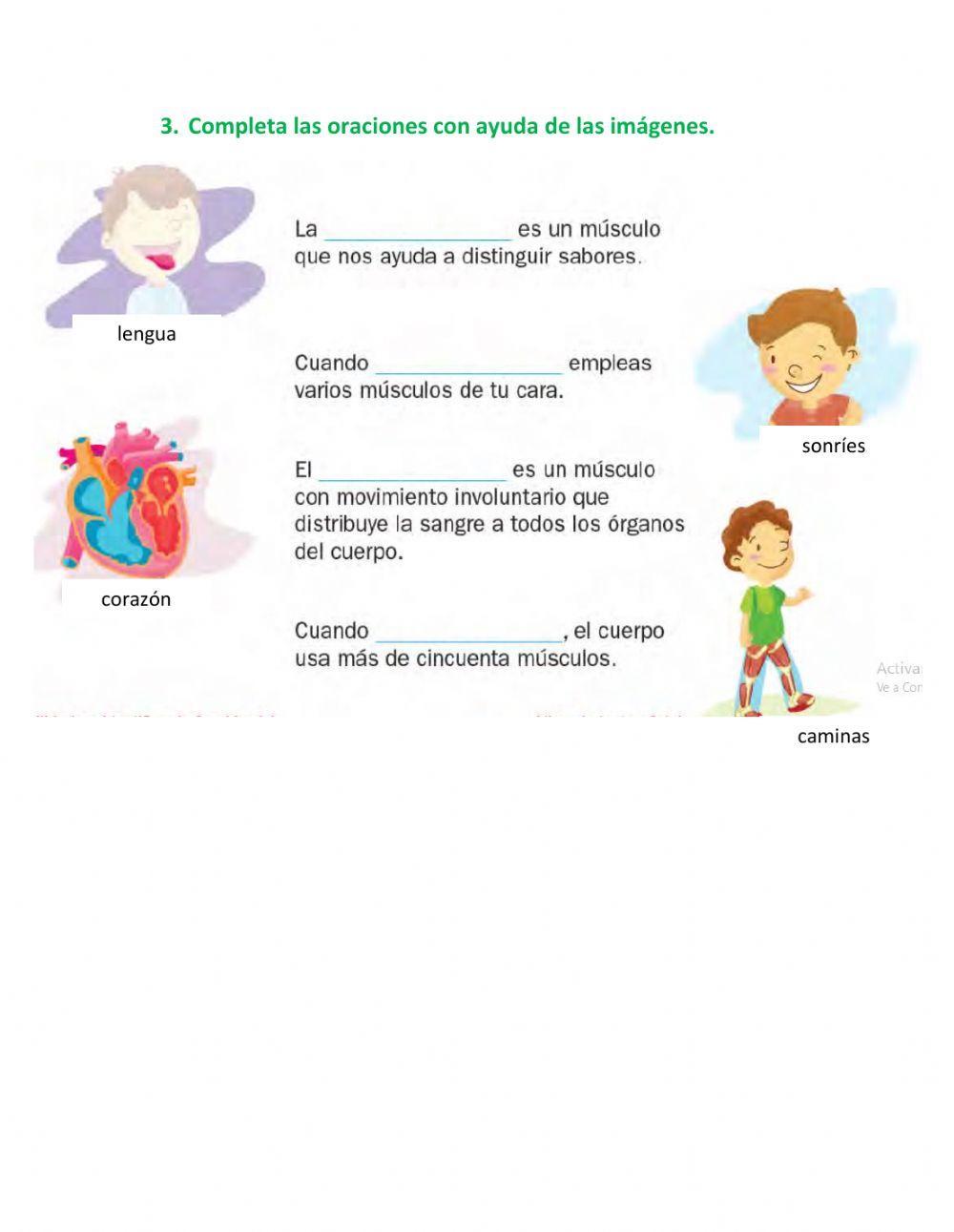 Sistema óseo y muscular