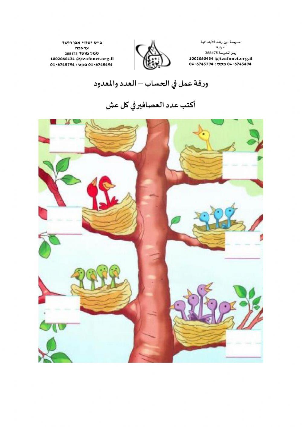 العدد والمعدود