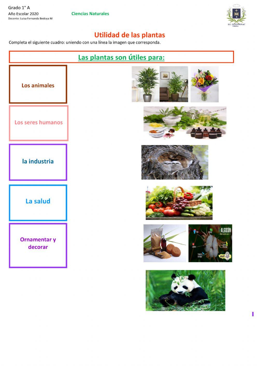 Utilidad de las plantas