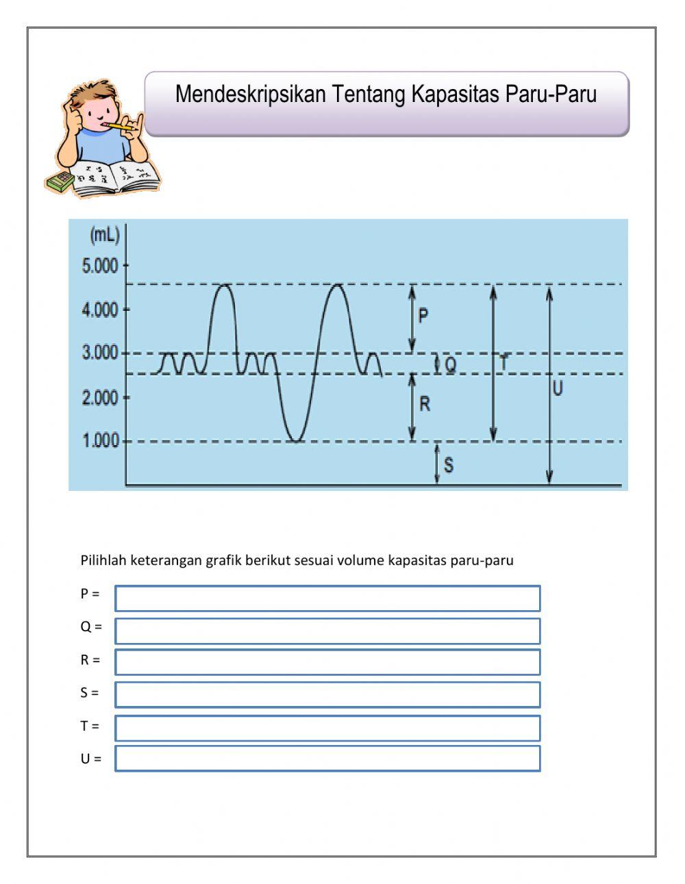 Sistem Pernapasan Manusia