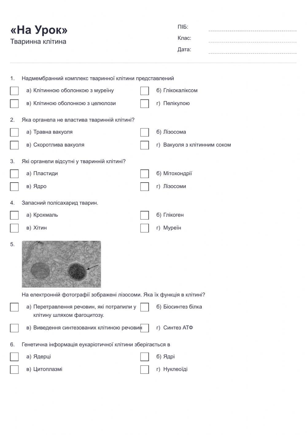 Будова тваринної клітини