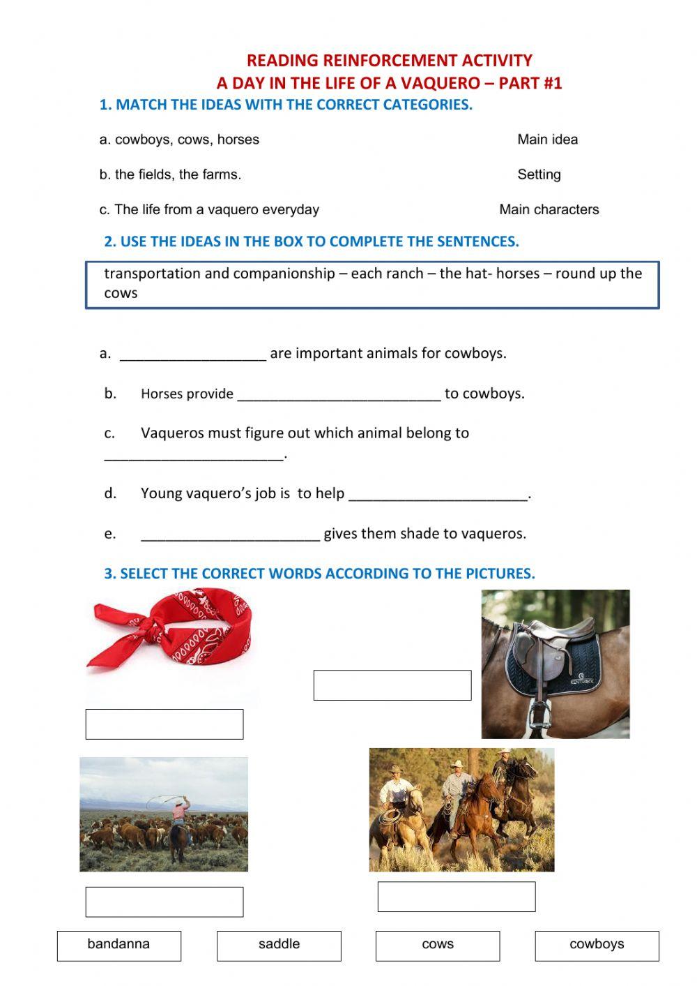 A Day in the Life of a Vaquero