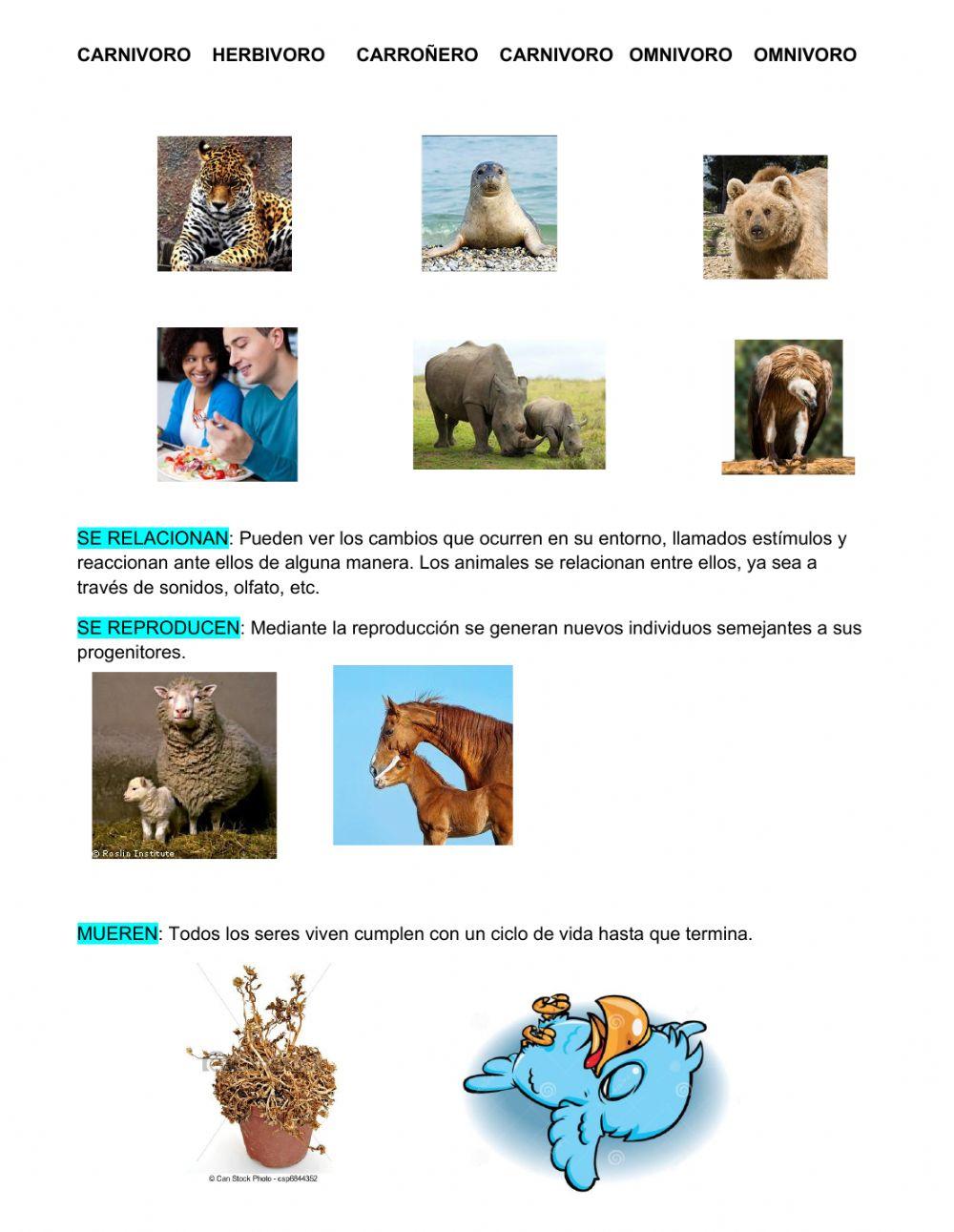 Caracteristicas de los seres vivos