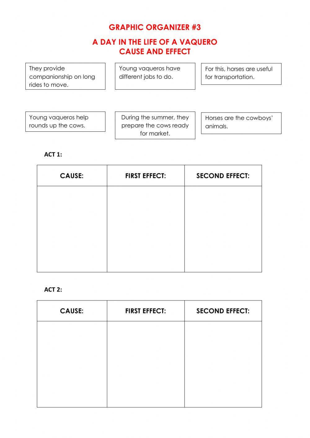 Vaquero Graphic Organizer