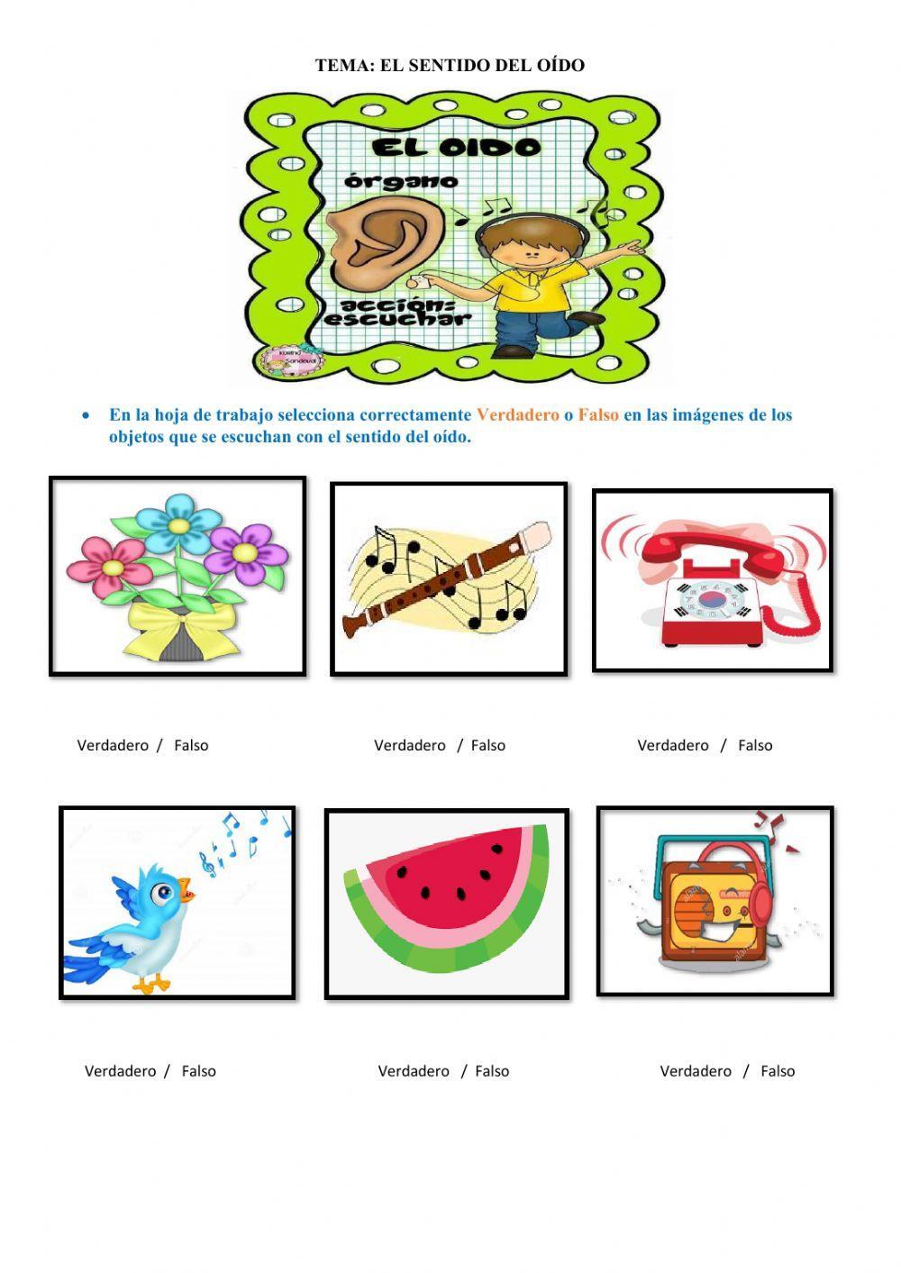 El sentido del Oído