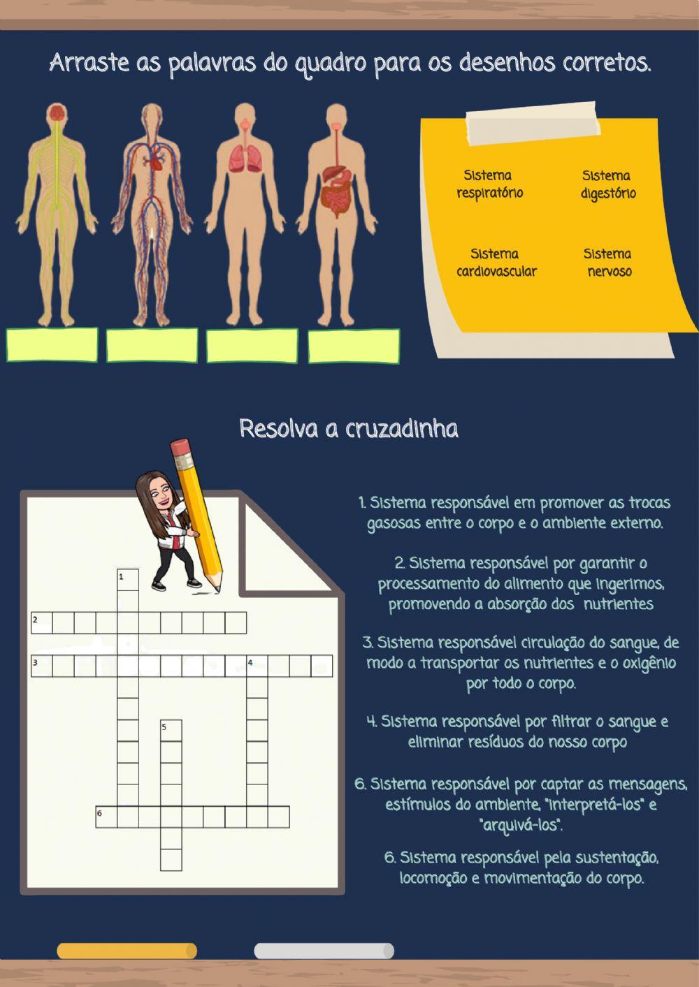 Sistemas do corpo humano