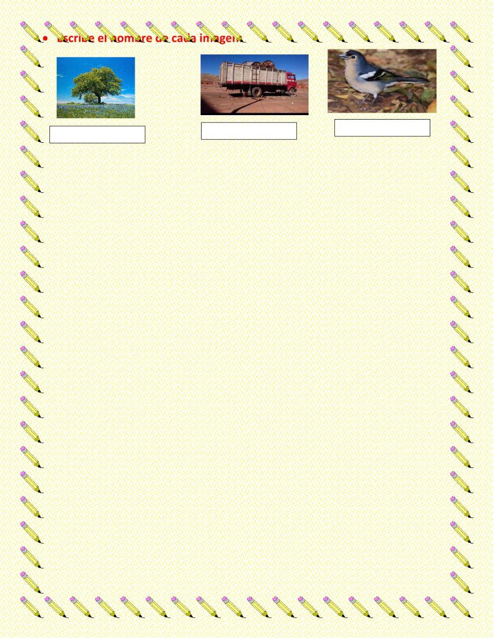 Reglas de acentuación