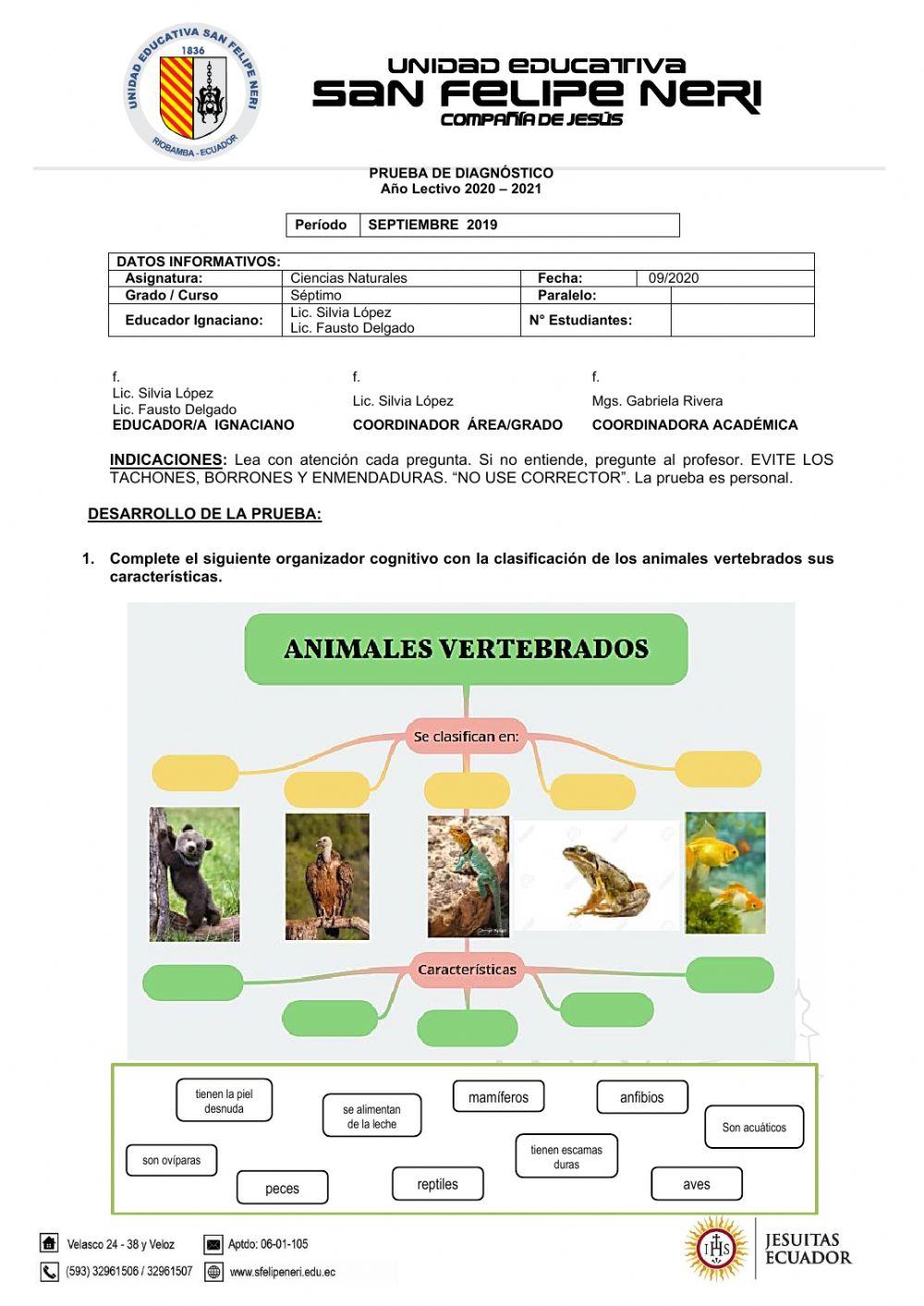 Diagnóstico ccnn - séptimo revisado