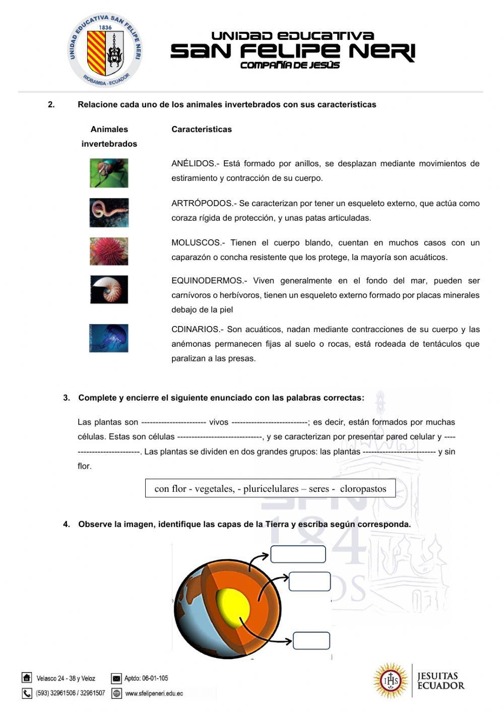 Diagnóstico ccnn - séptimo revisado