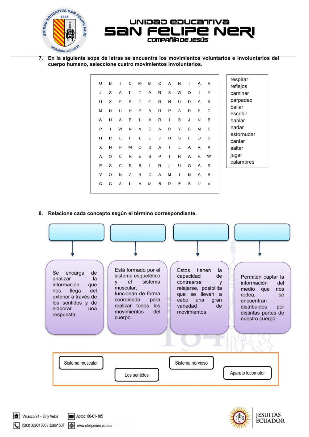 Diagnóstico ccnn - séptimo revisado