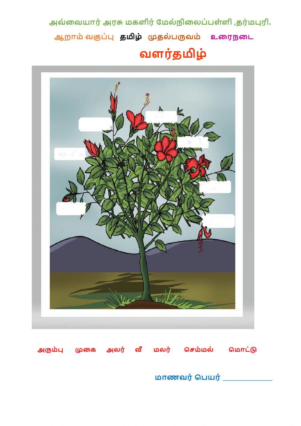 ஆறாம் வகுப்பு   தமிழ் - வளர்தமிழ்