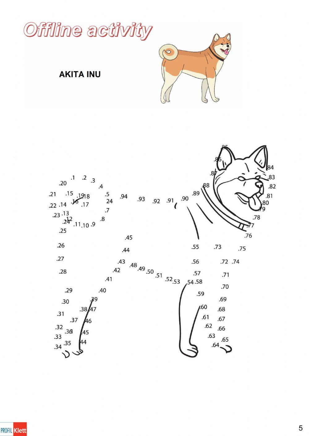 Hw6:U1-L1C-Man's best friend