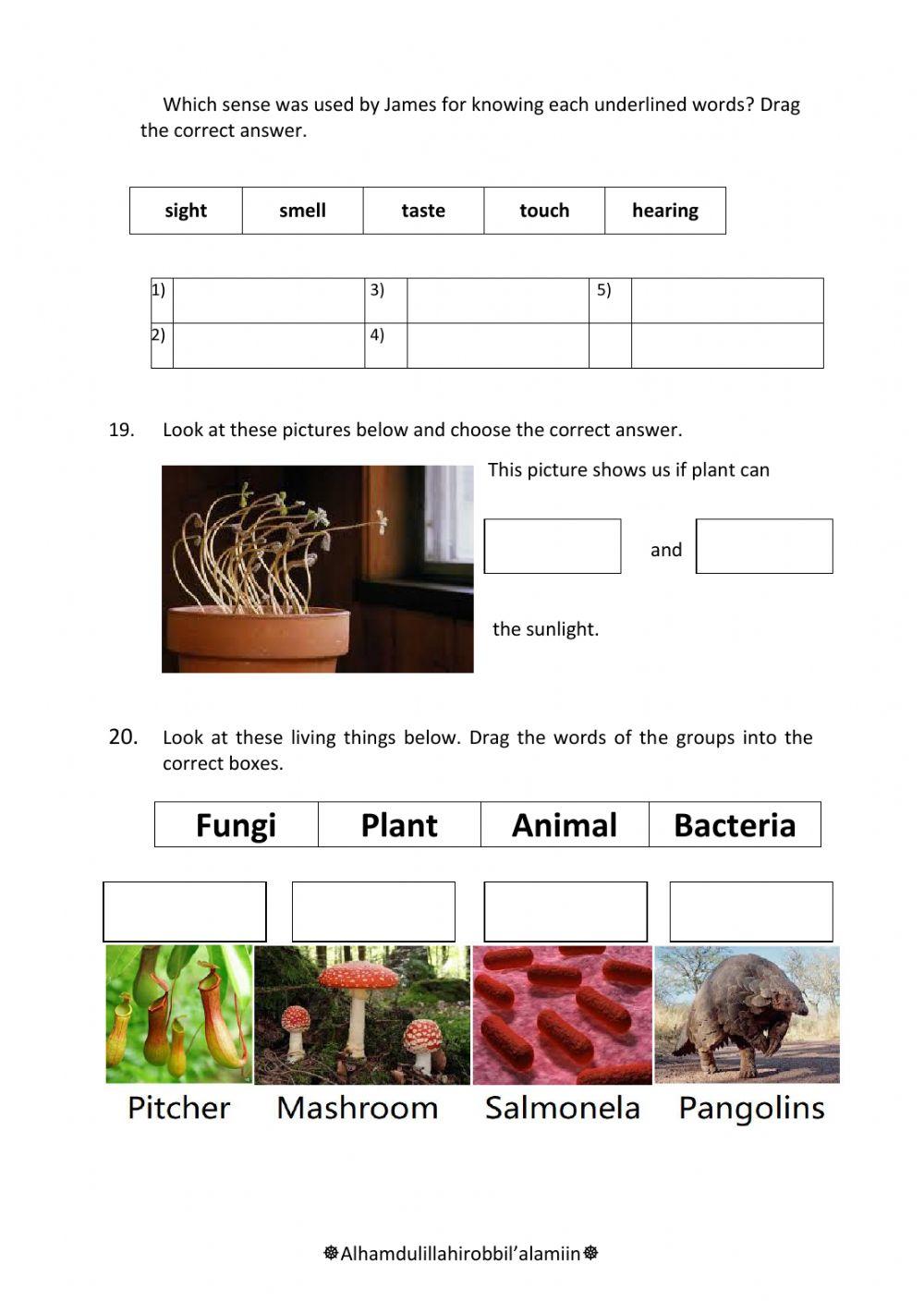 Latihan soal mid test