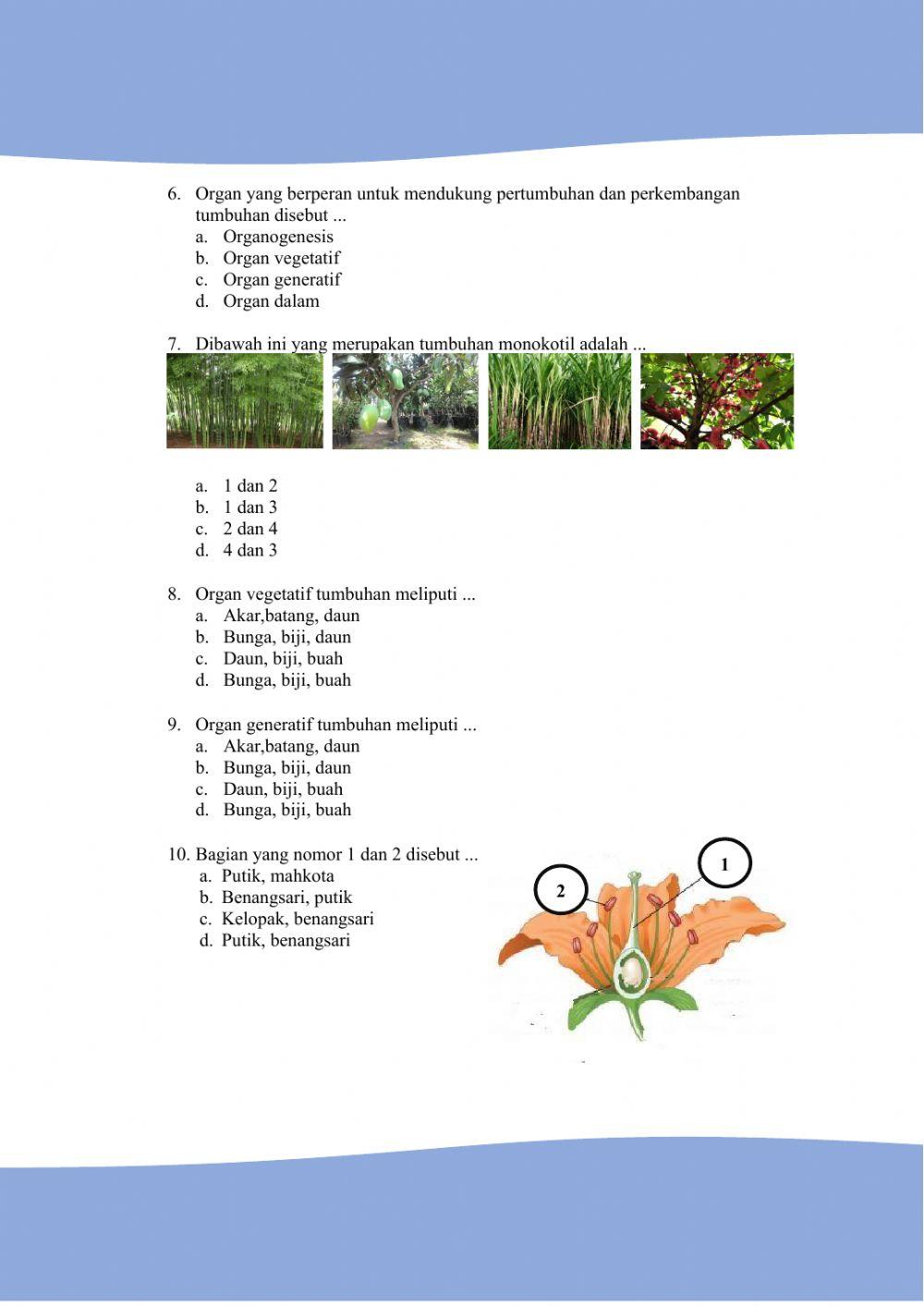 Kuis 1 Struktur & Fungsi Organ Pada Tumbuhan