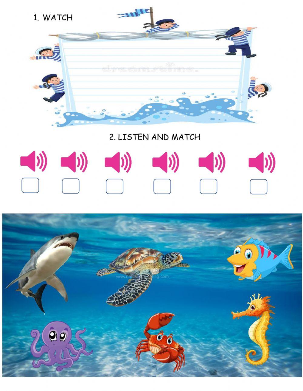 Sea animals Sea animals