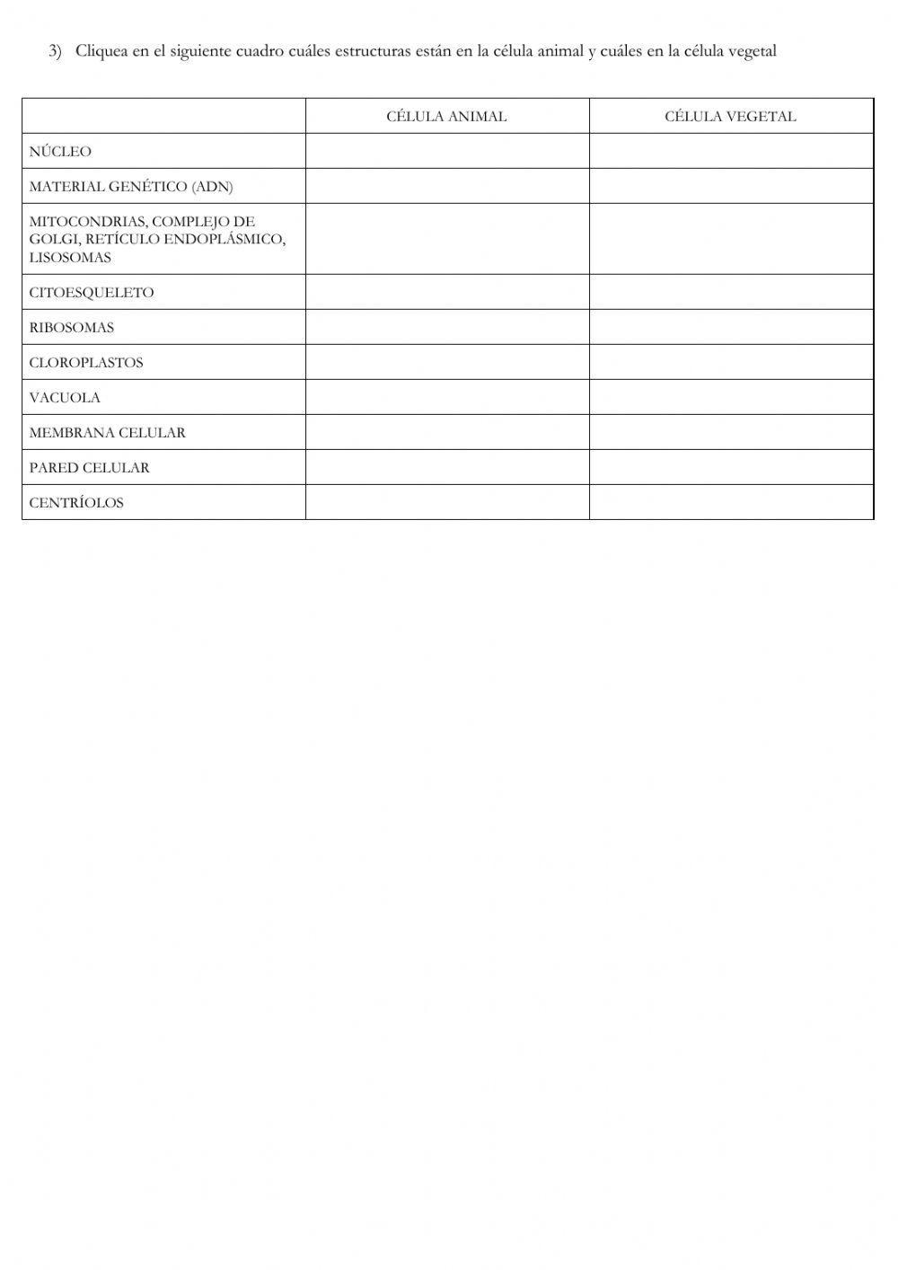 Estructura de células animal y vegetal